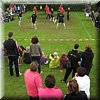 IMG_0397.JPG