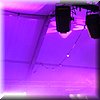 IMG_1178.JPG