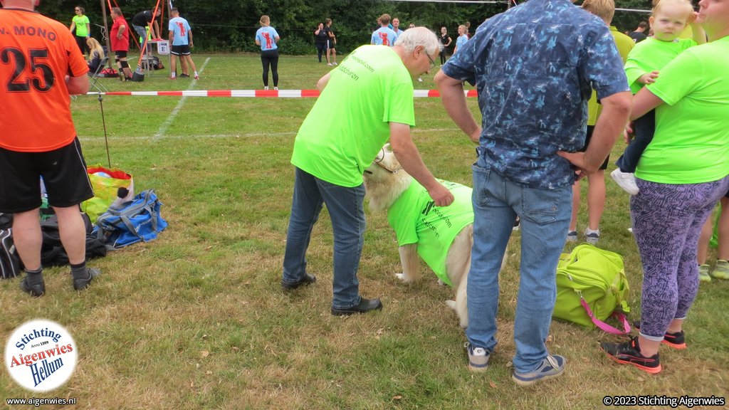 IMG_2482.JPG