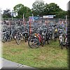 IMG_2486.JPG