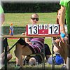 IMG_2895.JPG